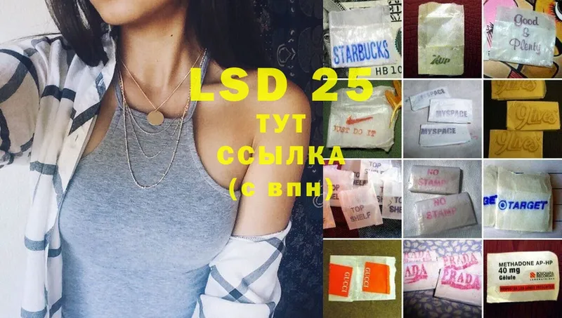 ЛСД экстази ecstasy  купить наркотик  Камешково 