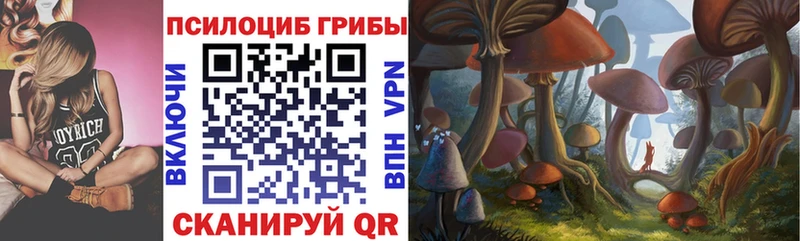 купить   Камешково  ОМГ ОМГ зеркало  Галлюциногенные грибы Cubensis 